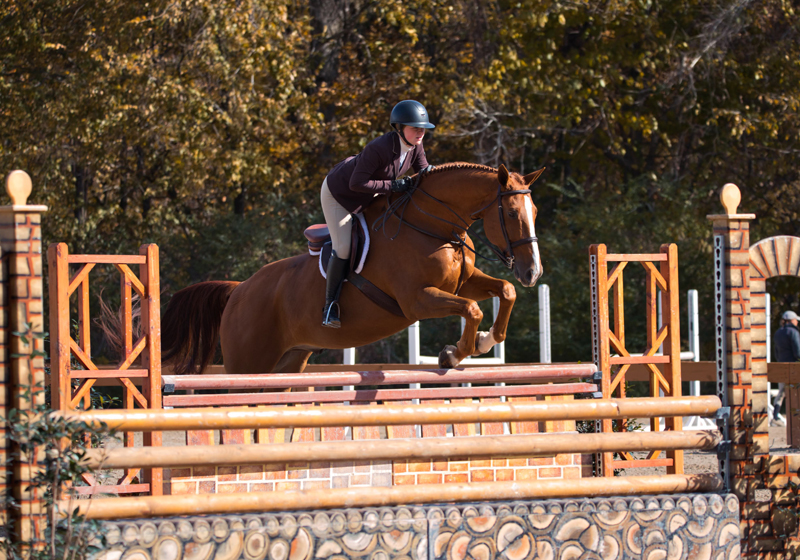 a young woman guides a horse over a jump in a competition