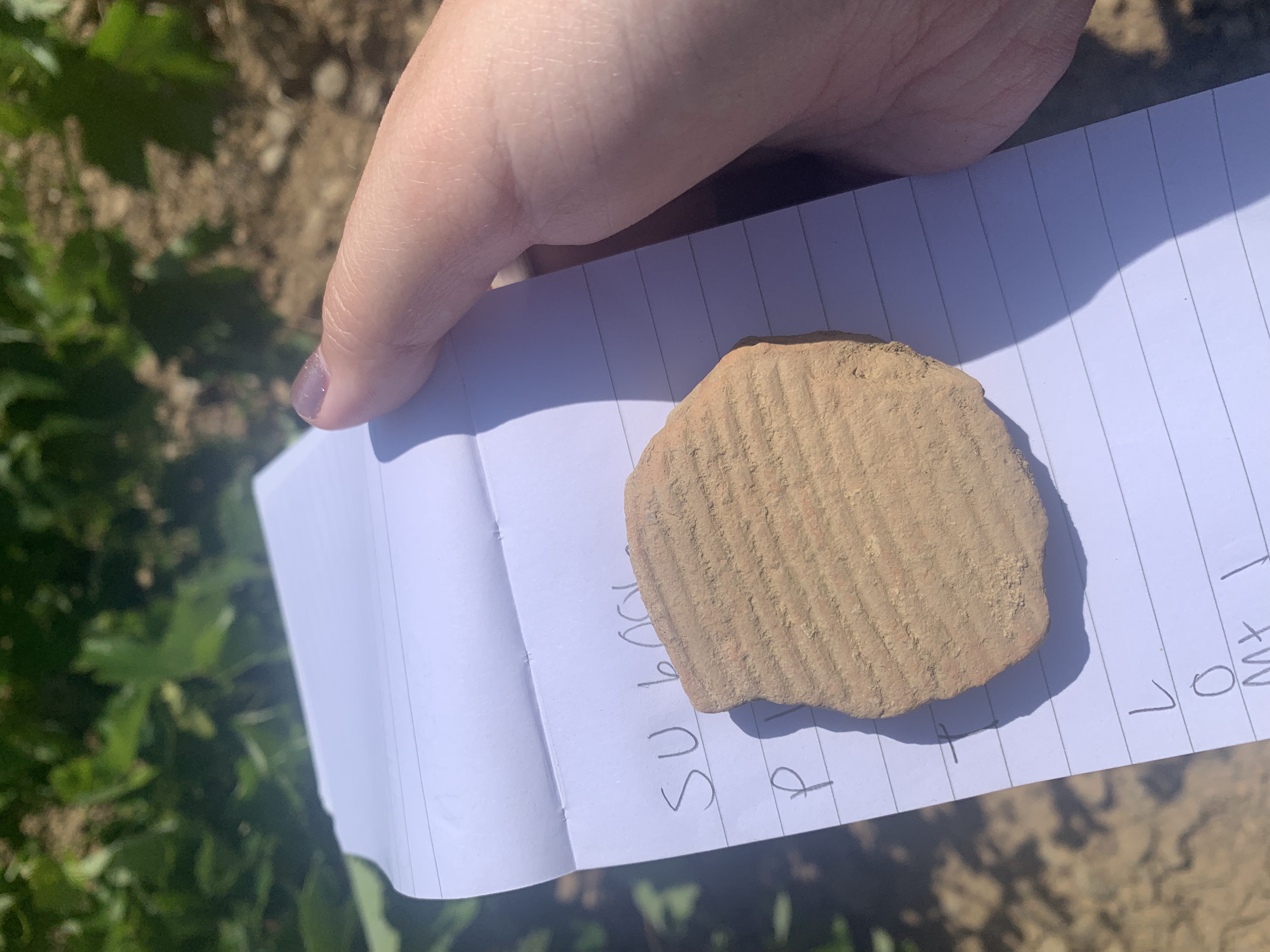 a sherd of Greek pottery