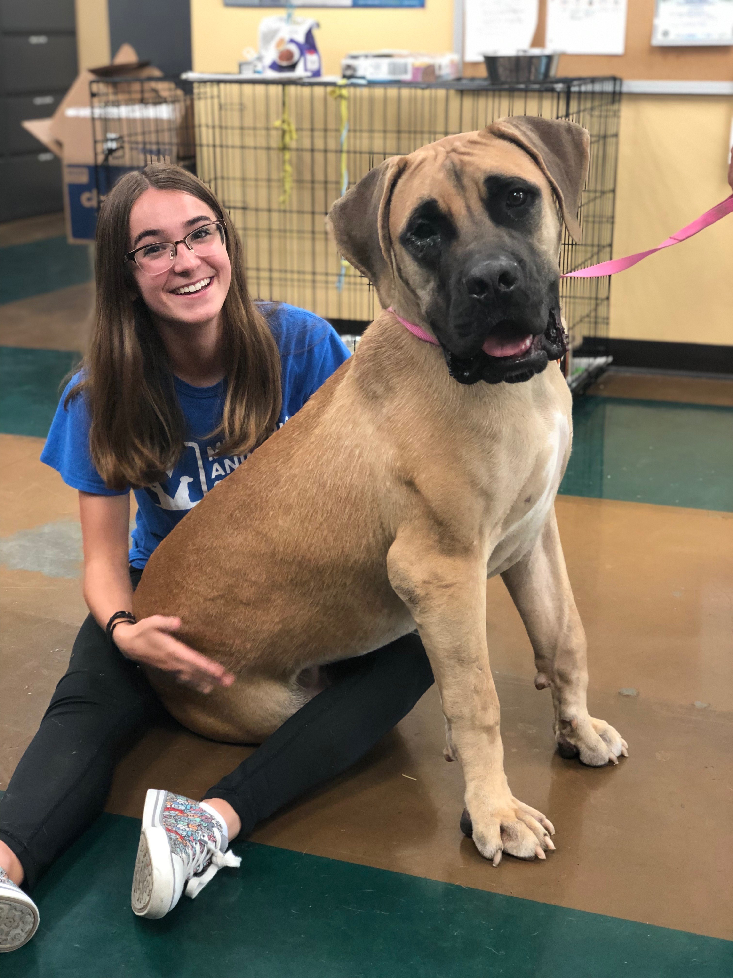 a young woman sits on the floor with a very large dog