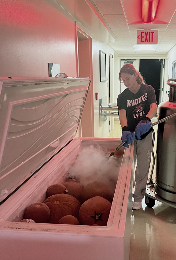 a  student freezing pumpkins