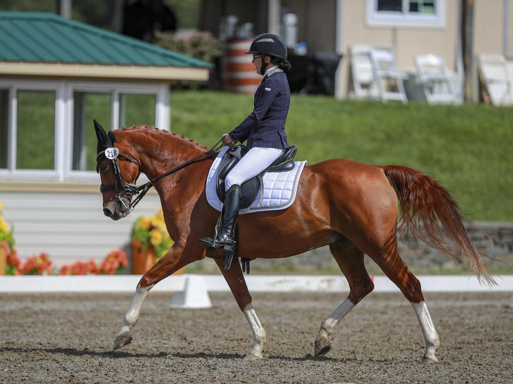 woman riding a horse