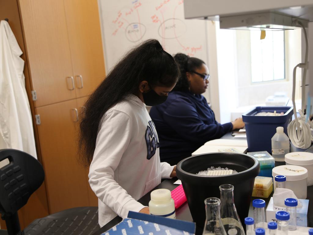 image of two high school students working in the chemistry lab at Rhodes College 