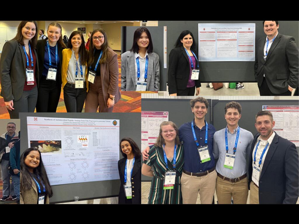 collage of chemistry faculty and students at Rhodes College