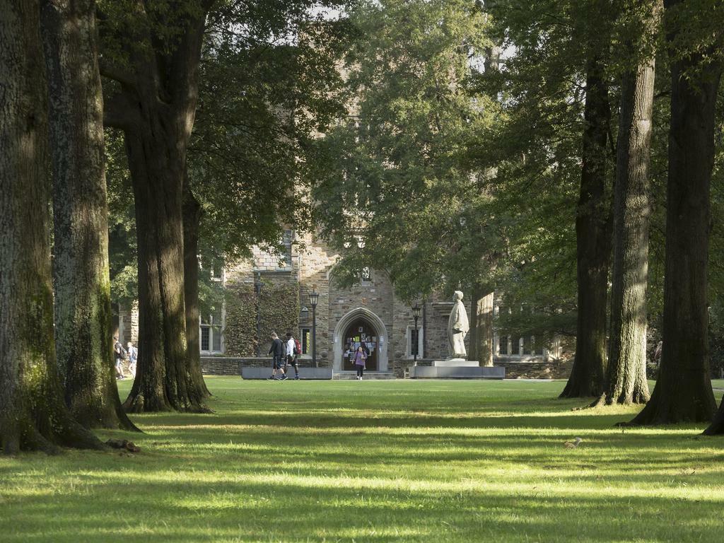 image of Rhodes College campus