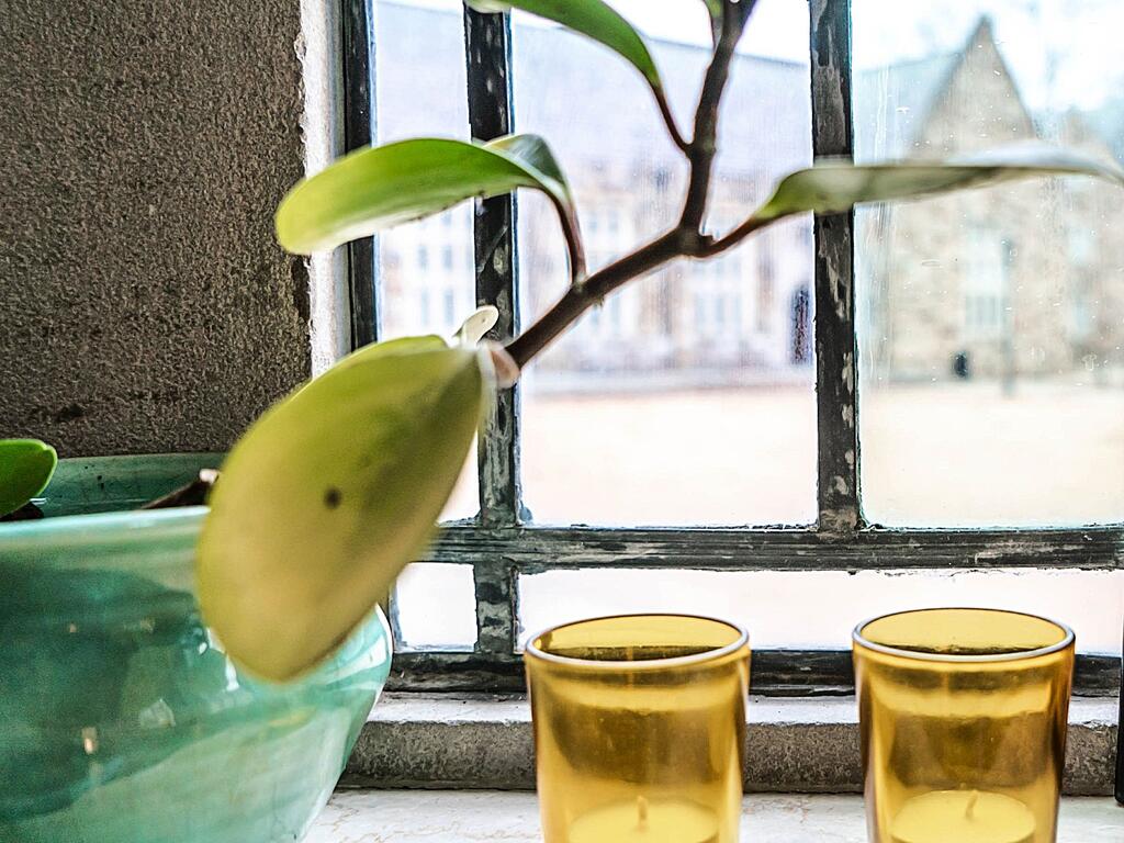 image of a plant of candles in counseling center at Rhodes College