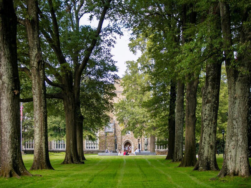 Rhodes College's Collegiate Gothic architecture among alley of oak trees