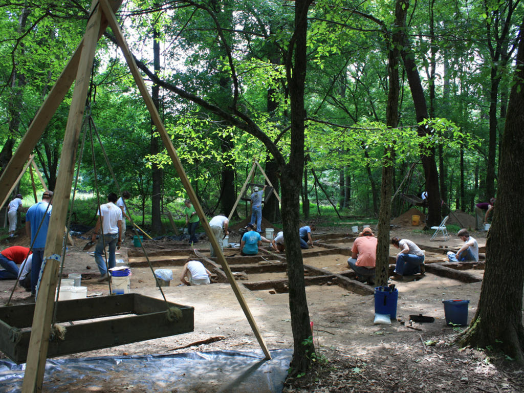 students work at an archaeological dig in the woods