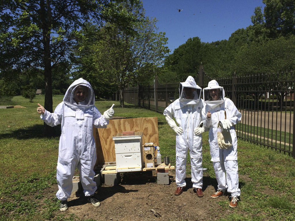 Three students in white bee-keeper suits stand near their hive