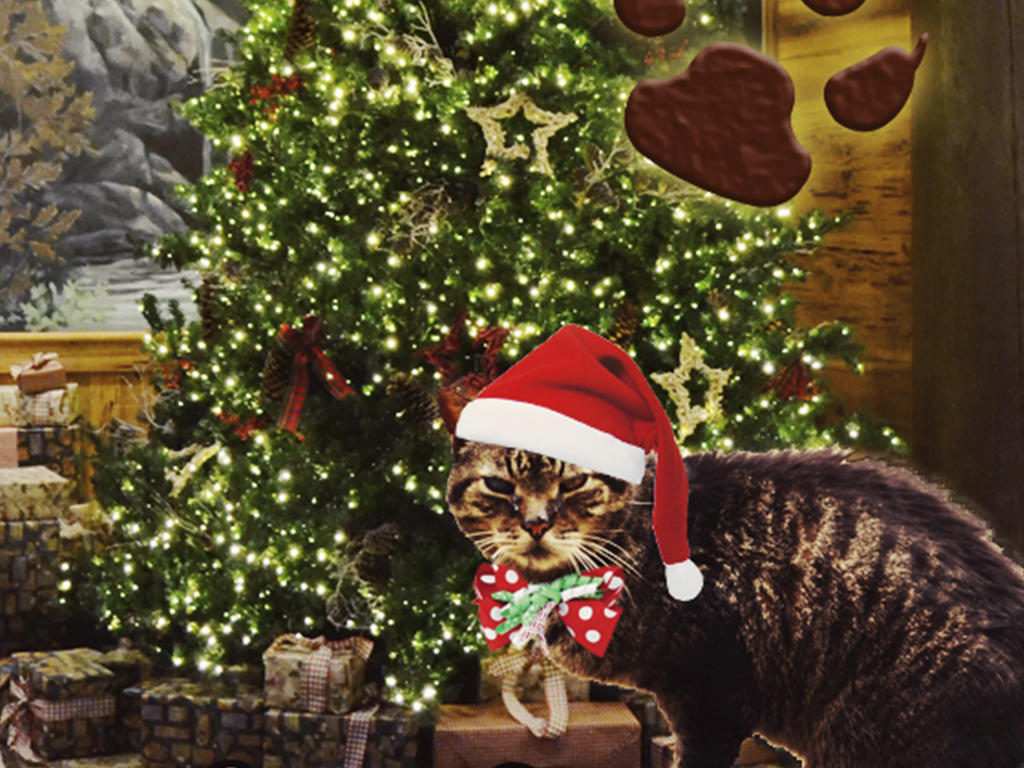 an image of a tabby cat with a santa hat edited on that is sitting in front of a Christmas tree
