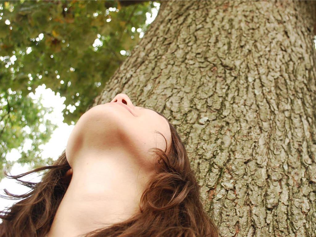 the bottom of a person's chin gazing up at a large tree 